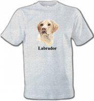 Tête de Labrador sable (S)