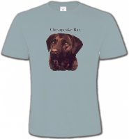 Labrador chocolat (G)