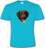 Tête de Labrador chocolat (W)