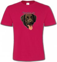 Tête de Labrador chocolat (W)