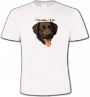 Tête de Labrador chocolat (W)