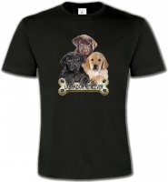 Bébé labrador noir chocolat et sable (P)