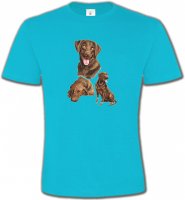 Labrador chocolat (F)