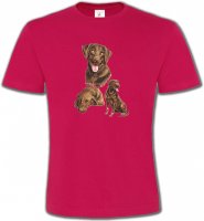 Labrador chocolat (F)