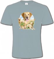 Labrador paysage sable (R)