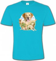 Labrador paysage sable (R)