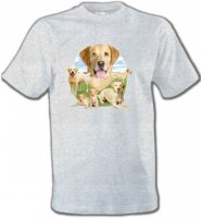 Labrador paysage sable (R)