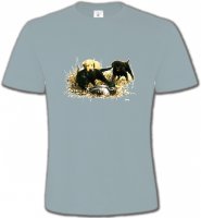 Labradors qui jouent (Y)