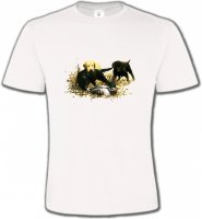 Labradors qui jouent (Y)