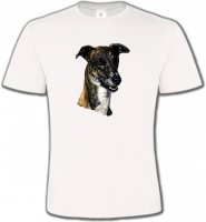Tête de Greyhound Lévrier(G)