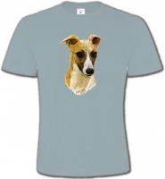 Lévrier Italien (C)