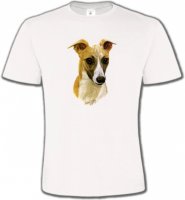 Lévrier Italien (C)