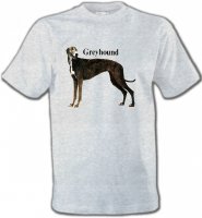 Greyhound Lévrier (H)