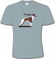 Lévrier Whippet (M)