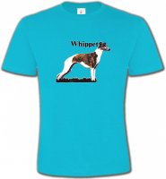 Lévrier Whippet (M)