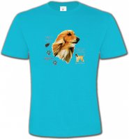 Lévrier Afghan blanc (P)