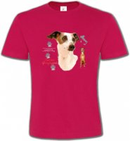 Lévrier Italien Greyhound (J)