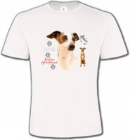 Lévrier Italien Greyhound (J)