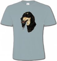 Lévrier Persan Saluki (I)