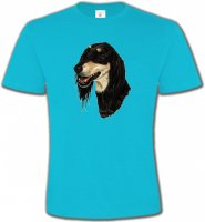 Lévrier Persan Saluki (I)