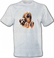 Lhassa Apso (A)
