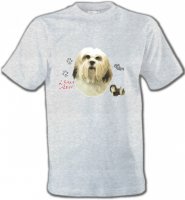 Lhassa Apso (B)