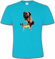 Mastiff (D)