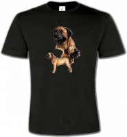 Mastiff (D)