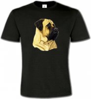 Mastiff (B)