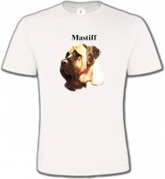 Mastiff (C)