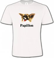 Tête Papillon (B)
