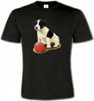 Chiot
