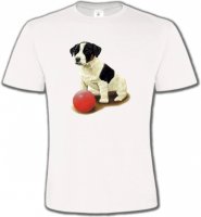 Chiot