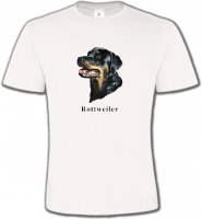 Tête de Rottweiler (G)