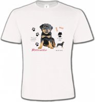 Rottweiler Chiot (Q)