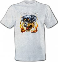 Rottweiler Enfer (P)