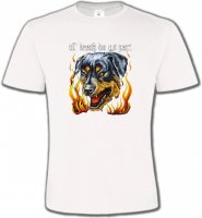 Rottweiler Enfer (P)