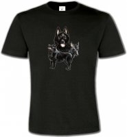 Schipperke (A)