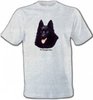 Schipperke (C)