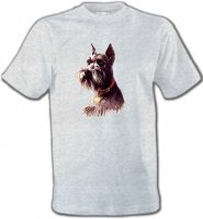 Schnauzer (A)