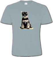 Schnauzer bébé (E)