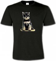 Schnauzer bébé (E)