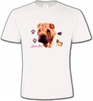 Tête de Sharpei (A)