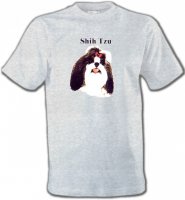 Tête de Shih Tzu (D)