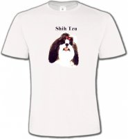 Tête de Shih Tzu (D)