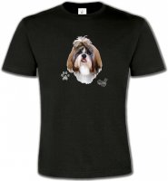 Shih Tzu (F)