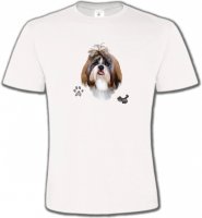 Shih Tzu (F)