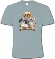 Shih Tzu Chiots (C)