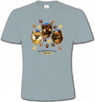 Spitz Poméranien (D)