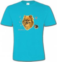 Spitz Poméranien (A)